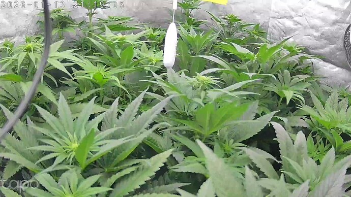 Growreport Bild 5
