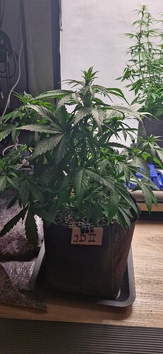 Growreport Bild 14