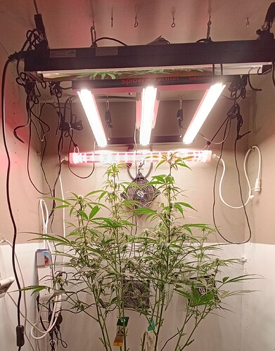 Growreport Bild 4
