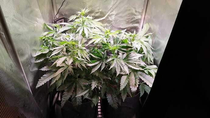 Growreport Bild 7