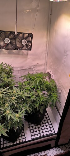 Growreport Bild 1