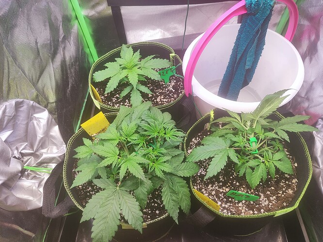 Growreport Bild 6