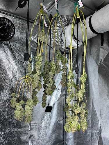 Growreport Bild 7