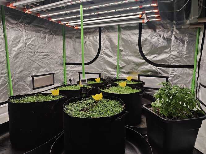 Growreport Bild 6