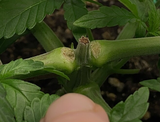 Growreport Bild 8
