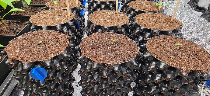Growreport Bild 2
