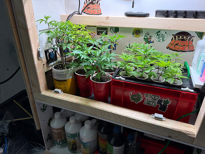 Growreport Bild 45