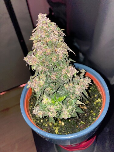 Growreport Bild 14