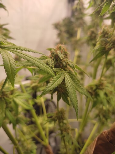 Growreport Bild 18