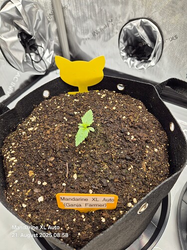 Growreport Bild 1