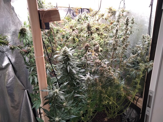 Growreport Bild 2