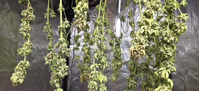 Growreport Bild 3