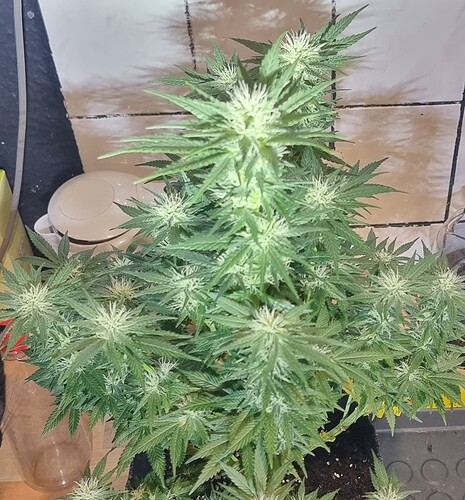 Growreport Bild 10