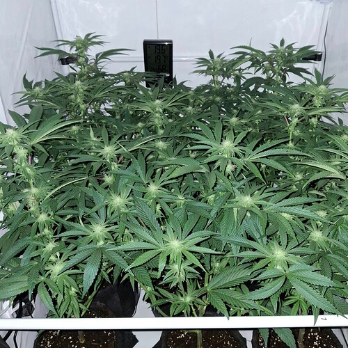 474530877_122164864316293599_3151807478179430772_n