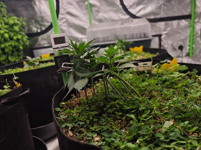 Growreport Bild 17