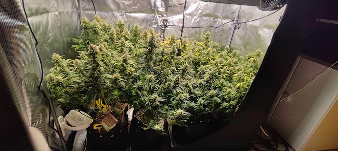 Growreport Bild 14