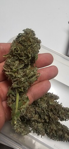 Growreport Bild 1