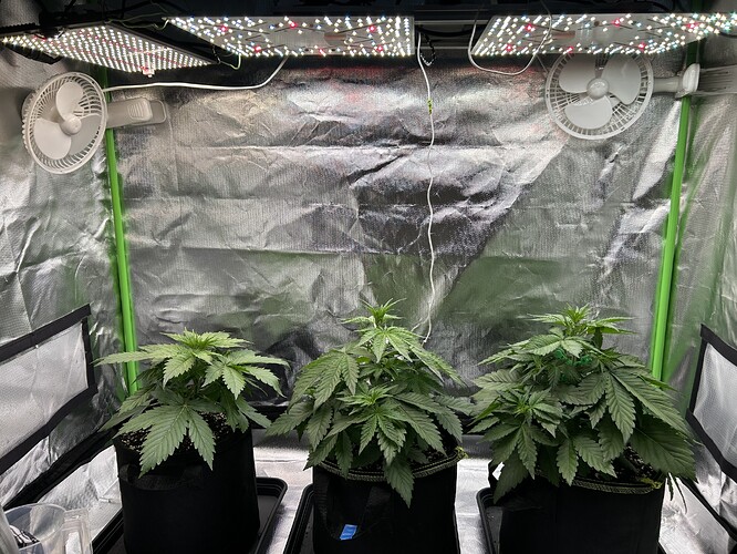 Growreport Bild 2