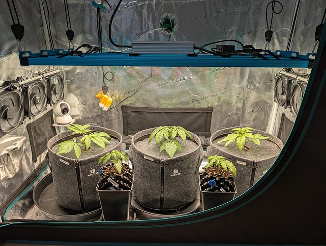 Growreport Bild 15