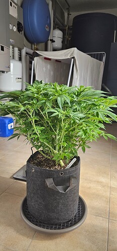Growreport Bild 4