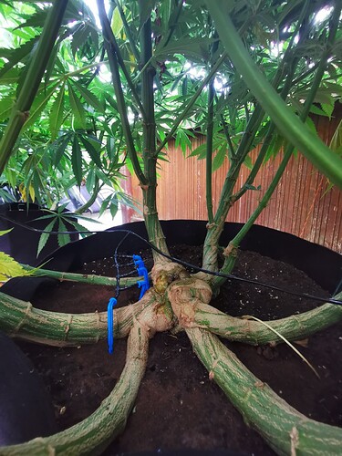 Growreport Bild 6