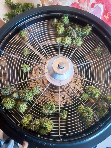 Growreport Bild 21