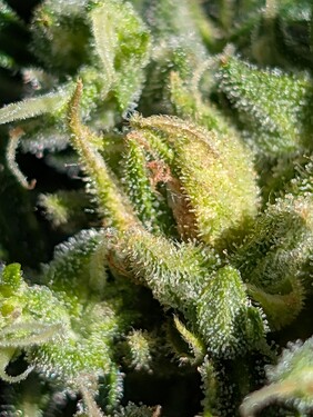 PXL_20250629_093632435