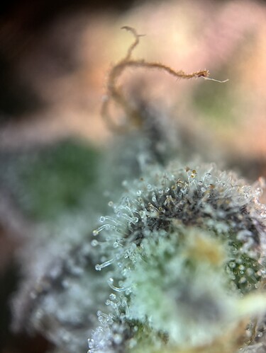 Growreport Bild 56