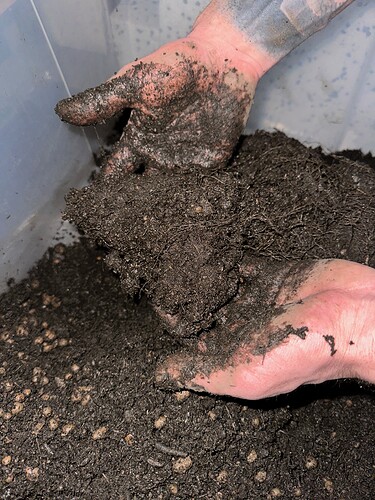 Growreport Bild 19