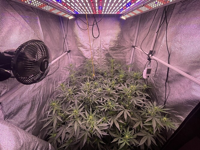 Growreport Bild 7