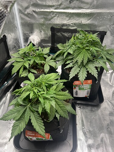 Growreport Bild 11