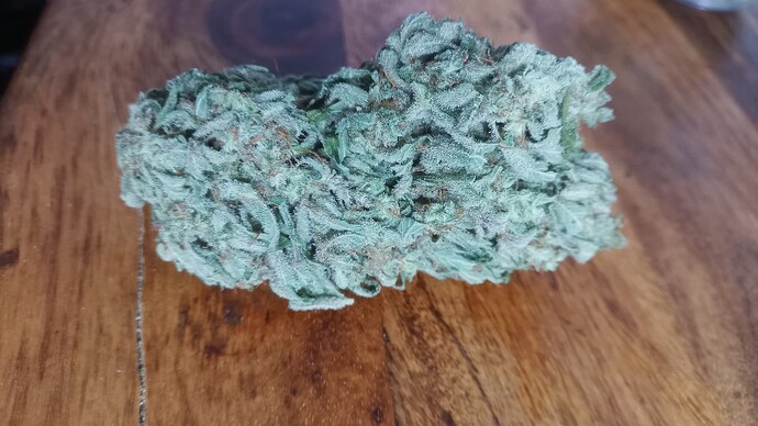 Growreport Bild 18