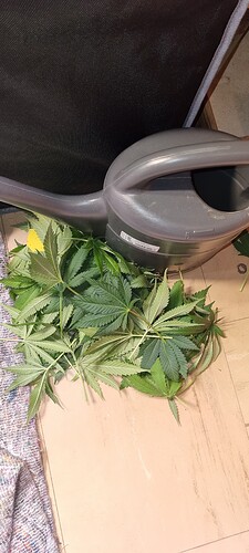 Growreport Bild 6