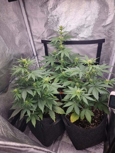 Growreport Bild 2