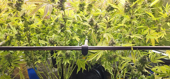 Growreport Bild 24