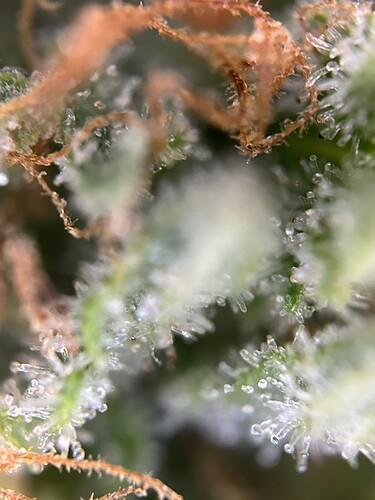 Growreport Bild 12