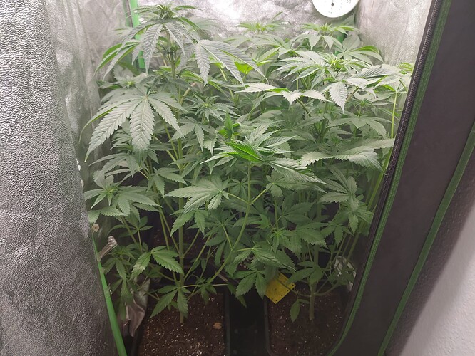 Growreport Bild 18