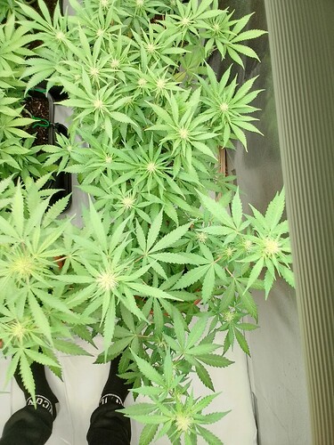 Growreport Bild 12