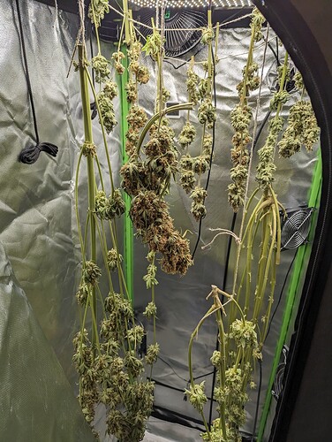 PXL_20240608_195907959