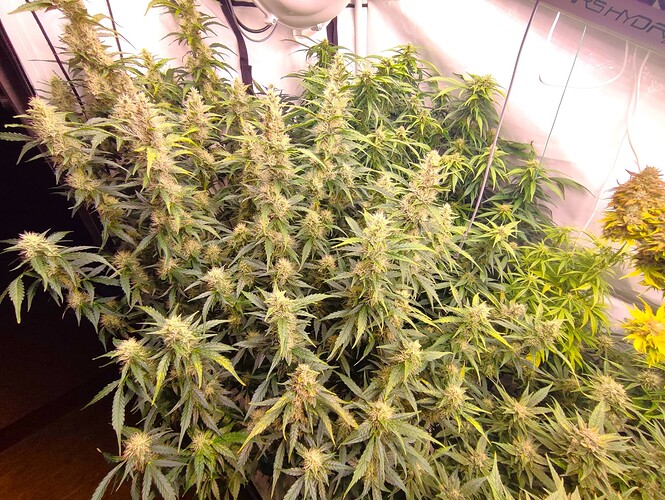 Growreport Bild 22