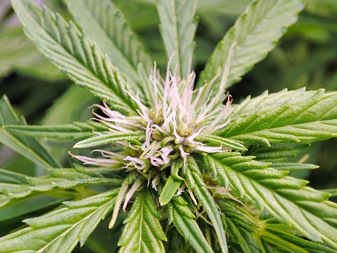 Growreport Bild 21