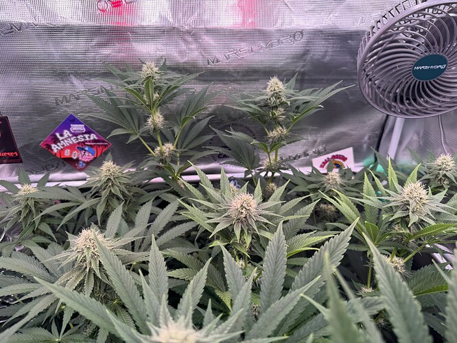 Growreport Bild 6