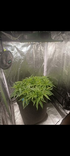 Growreport Bild 10