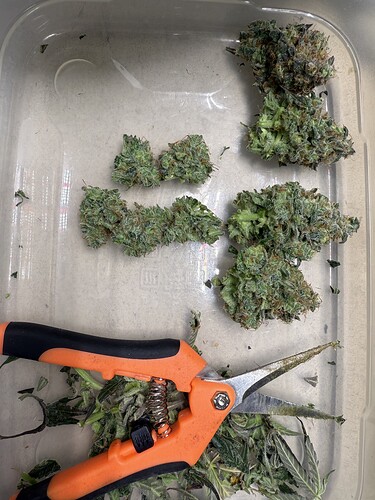 Growreport Bild 7