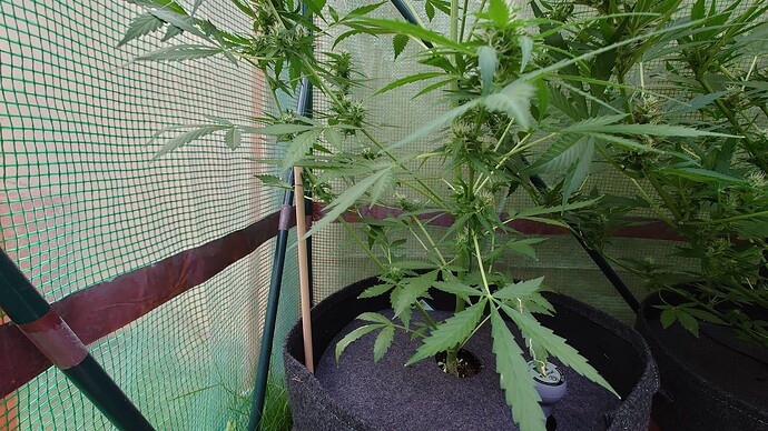 Growreport Bild 17
