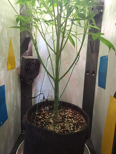 Growreport Bild 5
