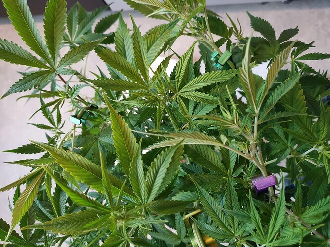 Growreport Bild 8