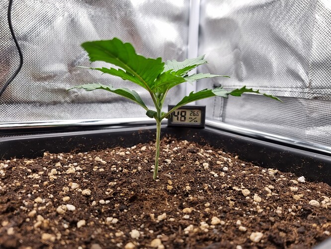 Growreport Bild 18