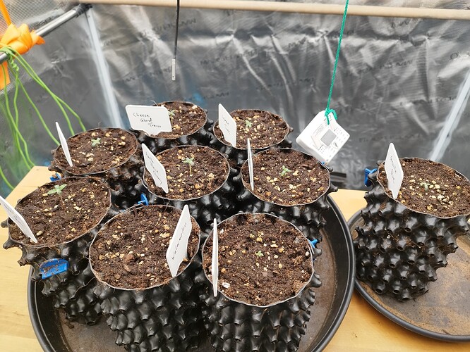 Growreport Bild 10