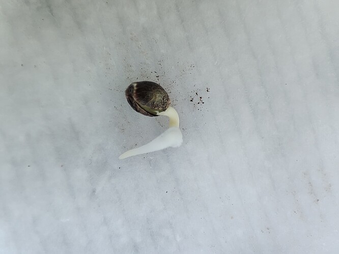 Growreport Bild 1